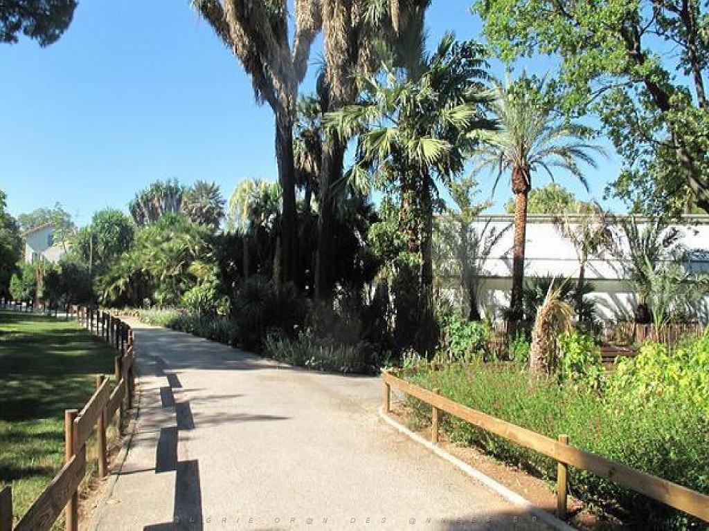 183 D35 PARC OLBIUS RIQUIER A HYERES_000009.jpg